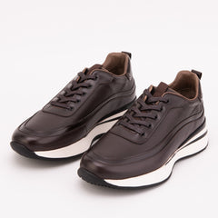 The Modena Brown Leather Sneaker